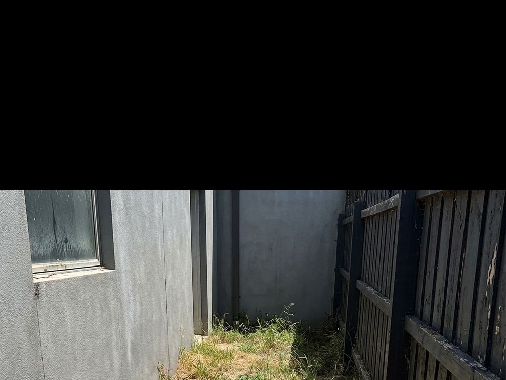 Failing pocket lawn in a small backyard