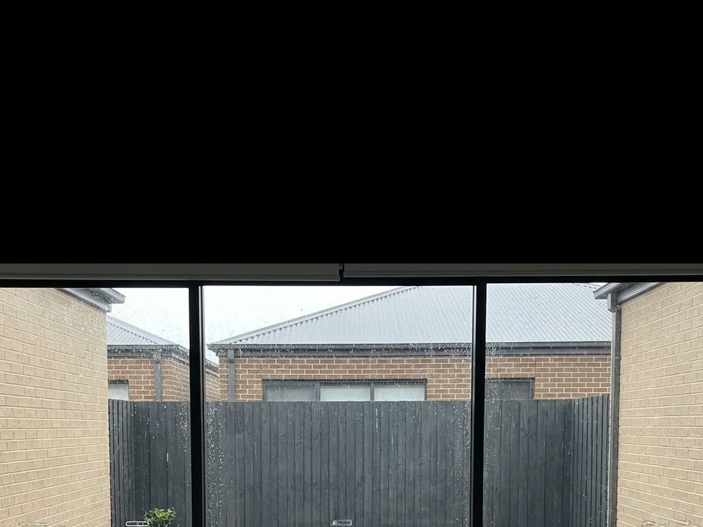 Sterile box backyard before design